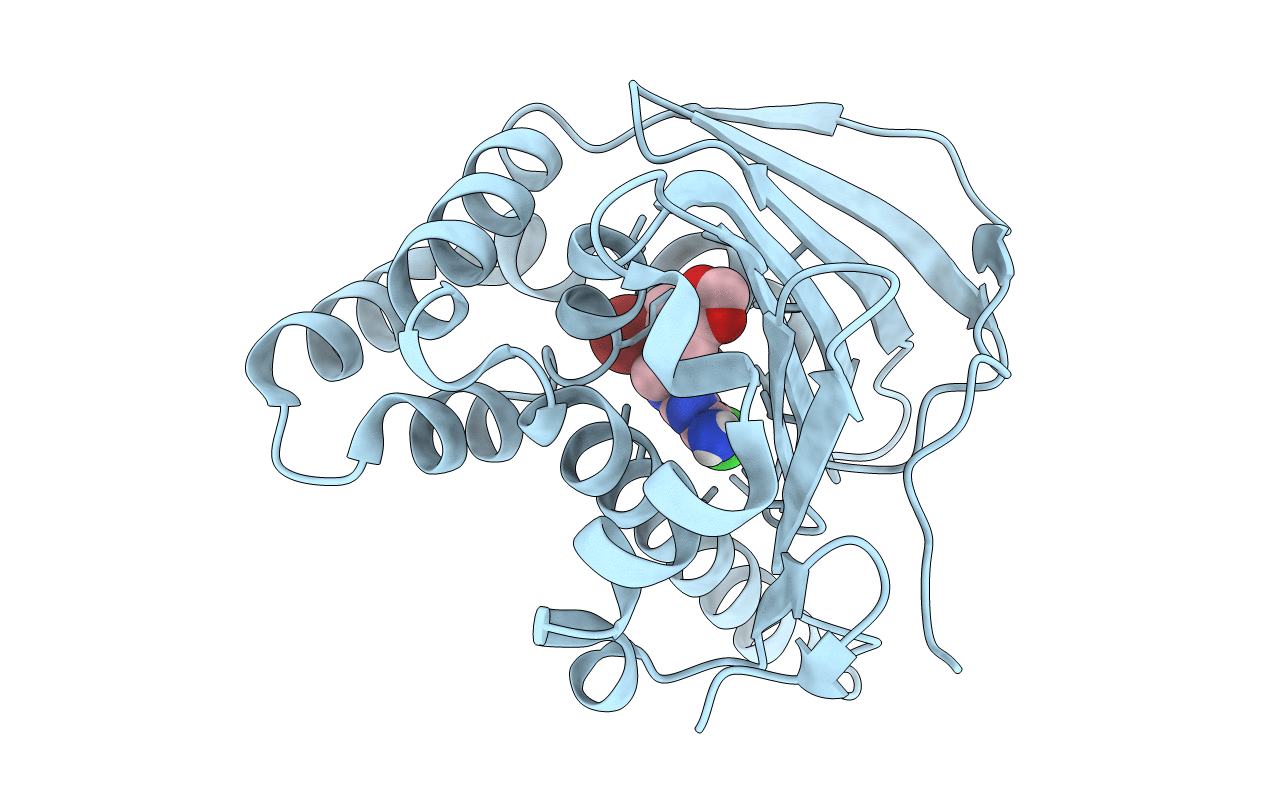7C7B image