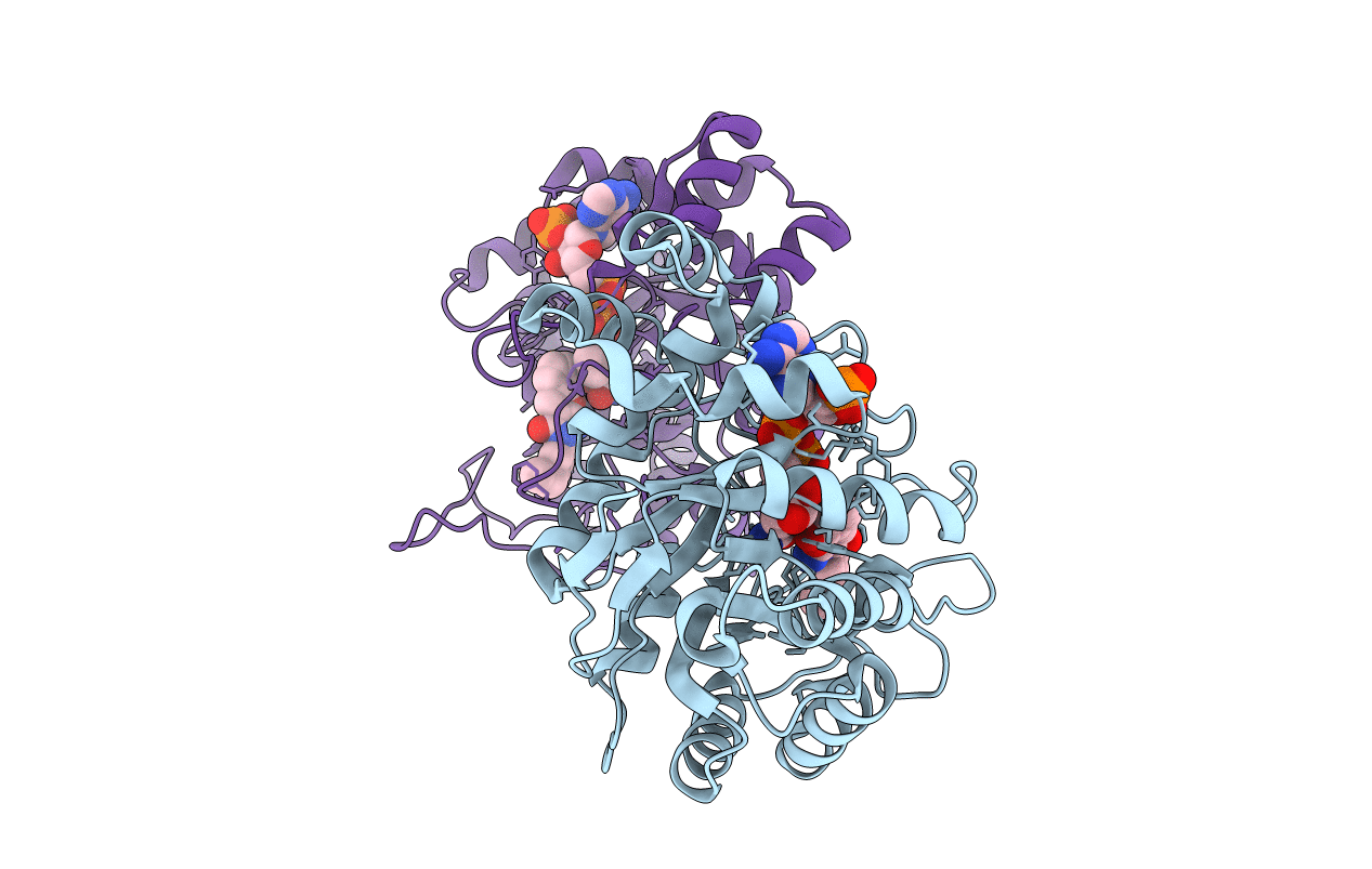 7C7H image