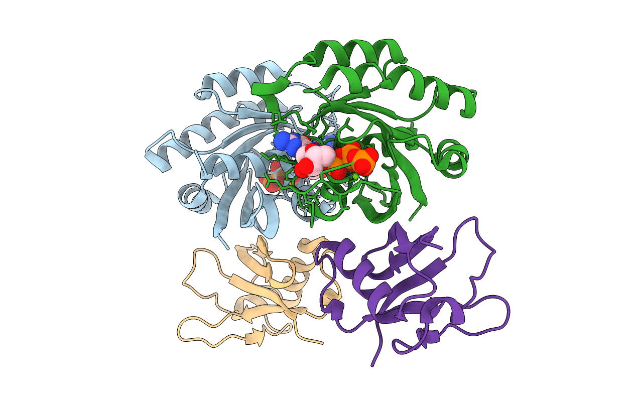 7C7J image