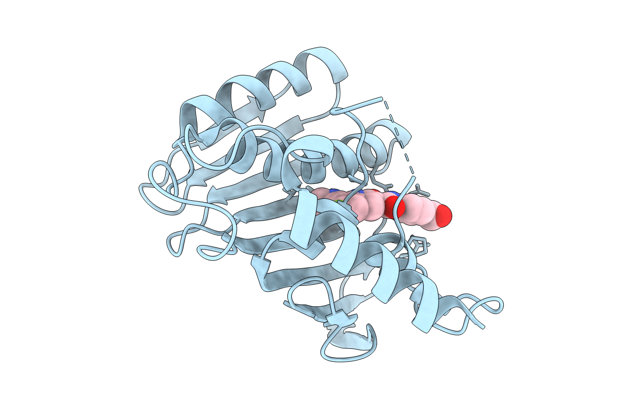 7C7N image