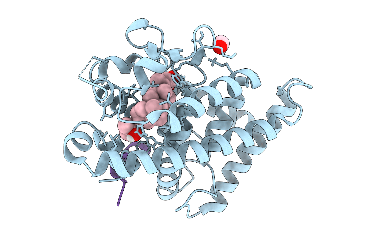 7C7V image