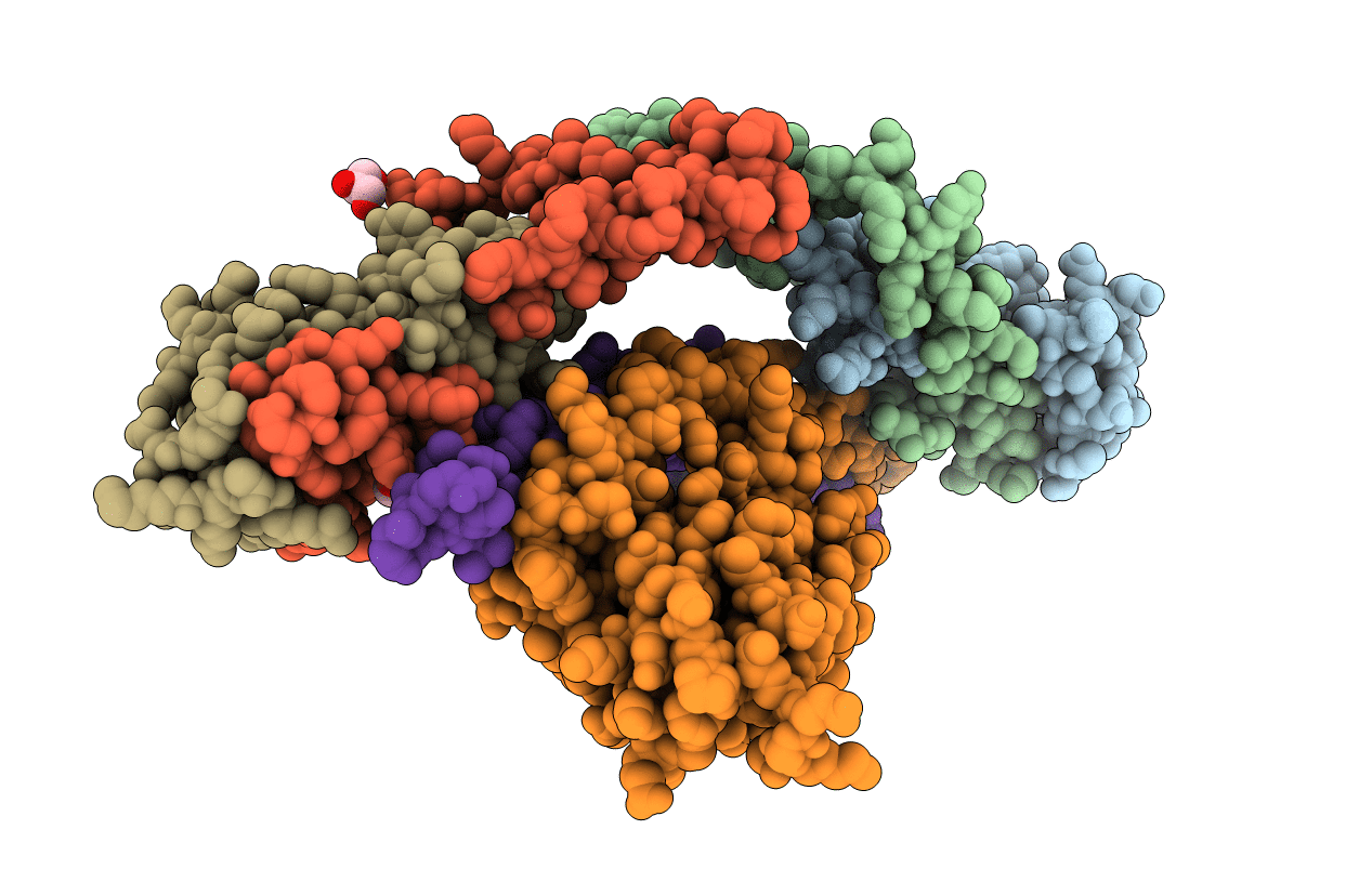 7C7X image