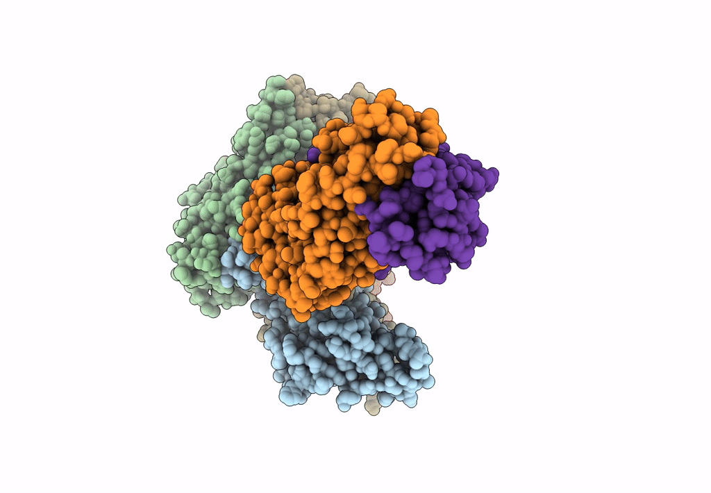 7C80 image