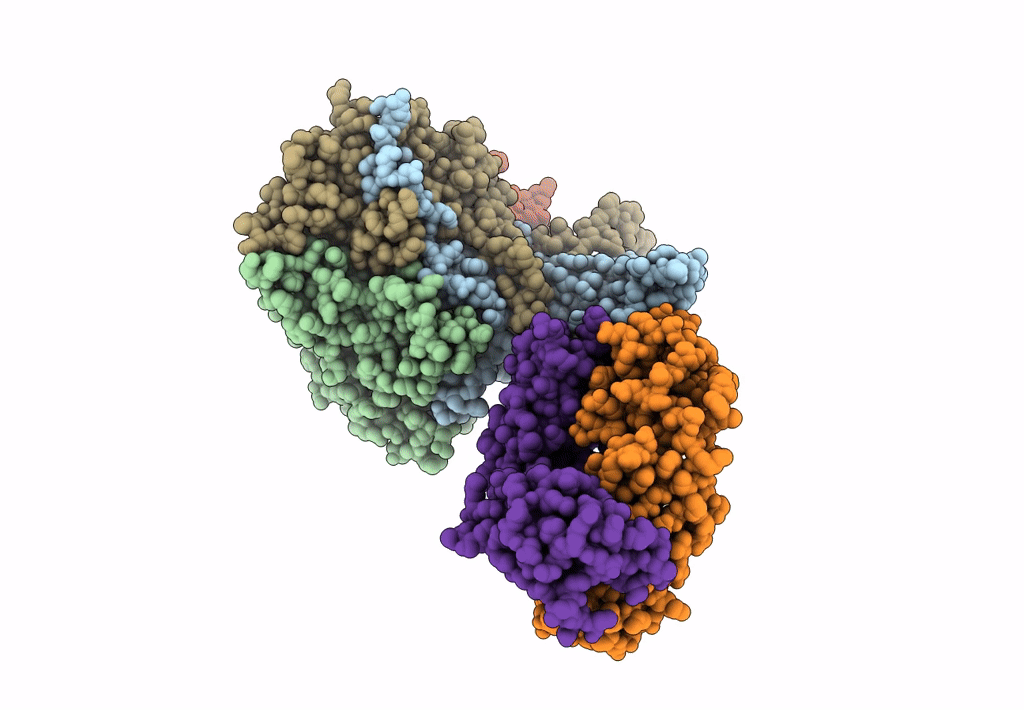 7C81 image