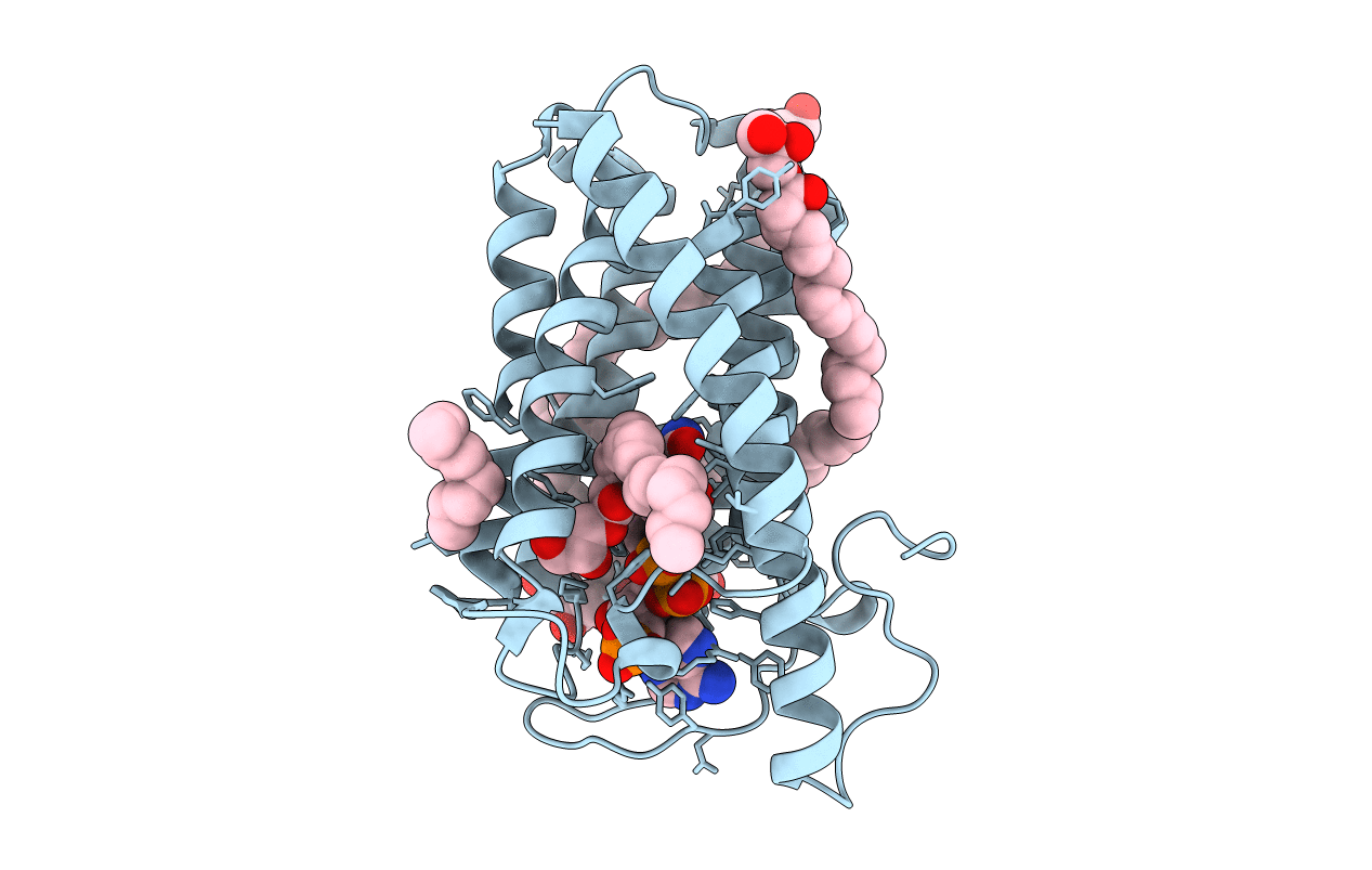 7C83 image