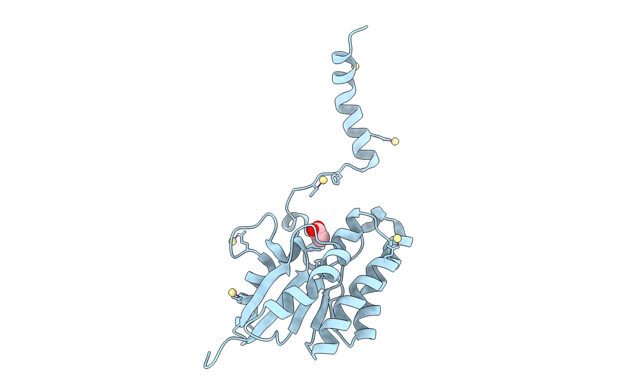 7C85 image