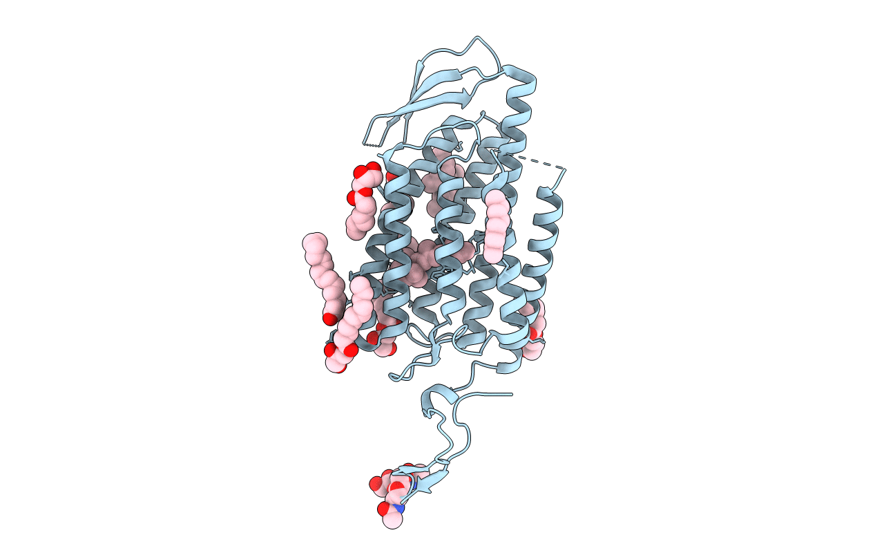 7C86 image