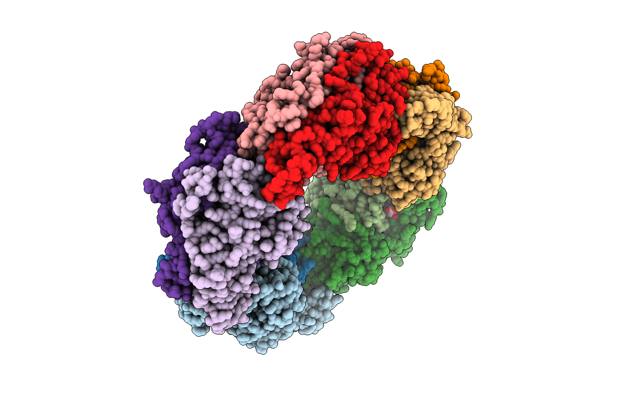 7C87 image