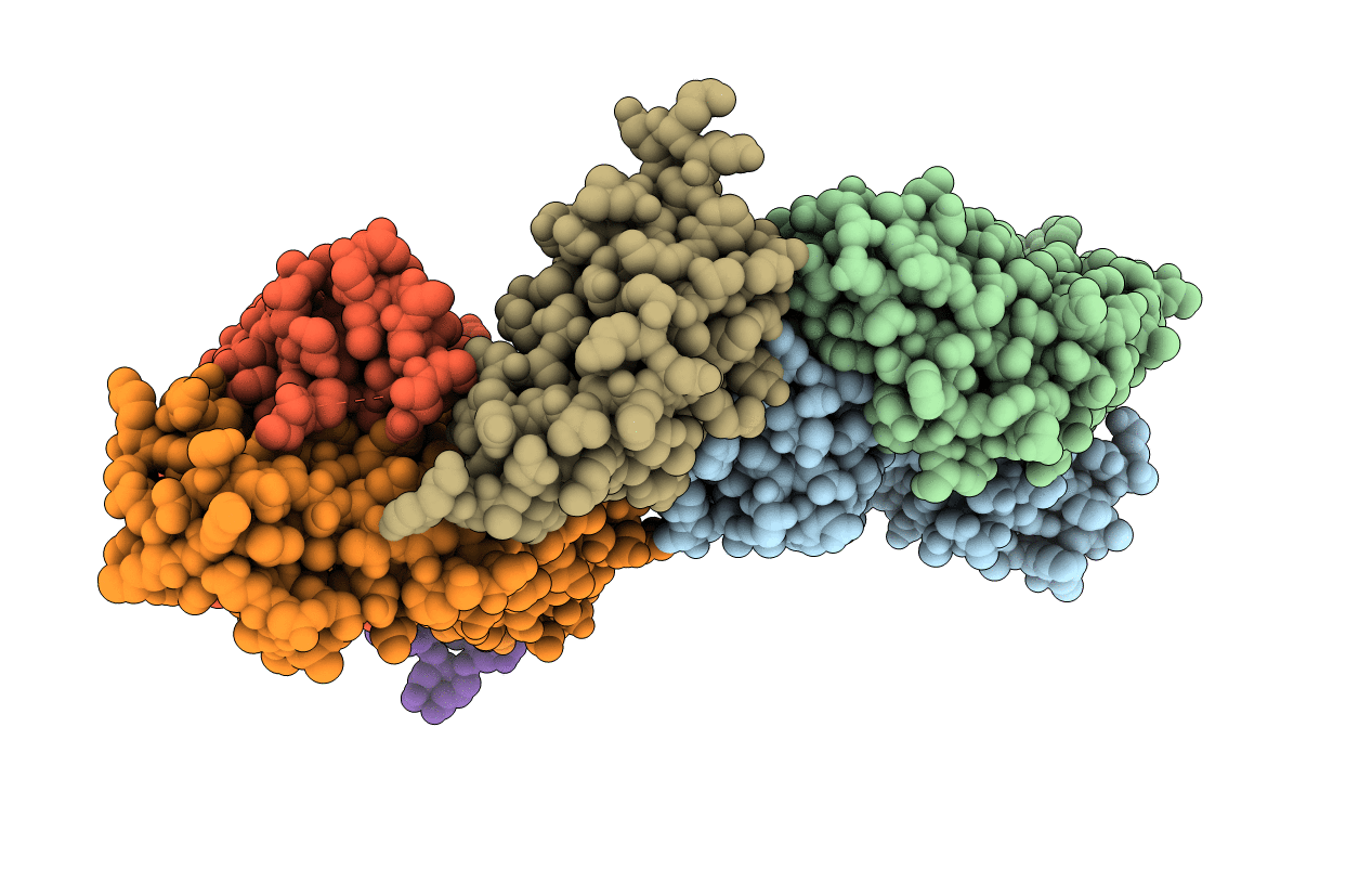 7C88 image