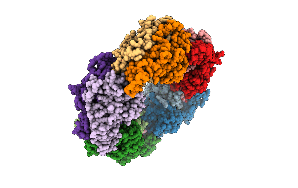 7C8A image