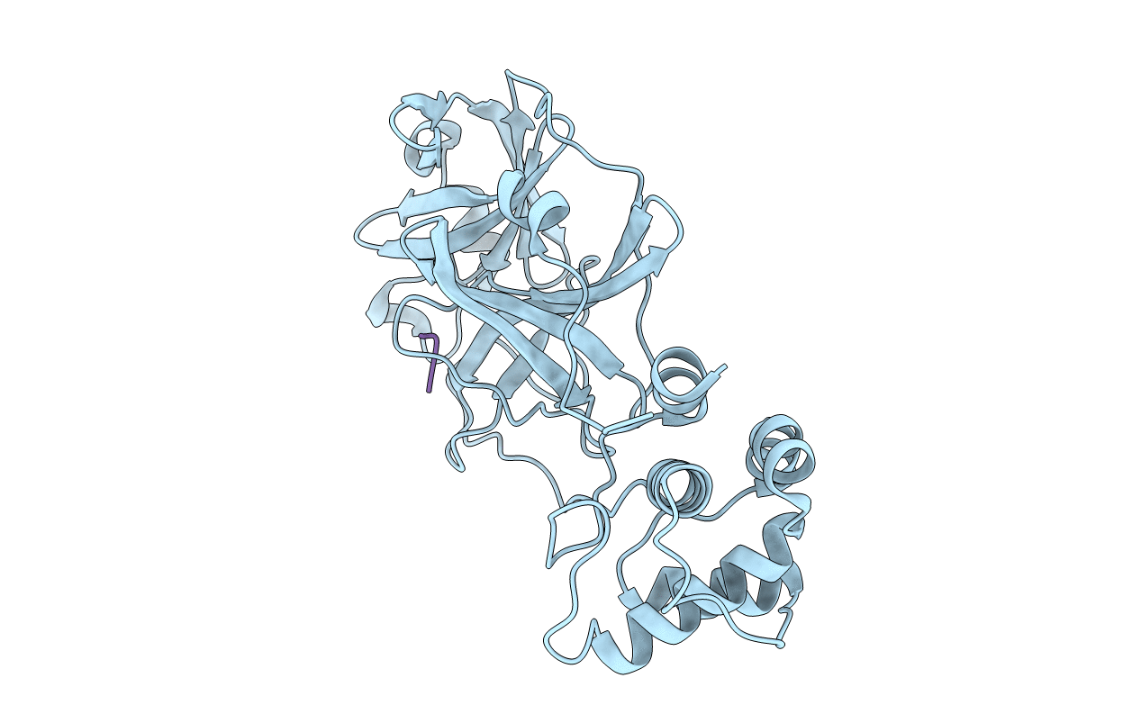 7C8B image