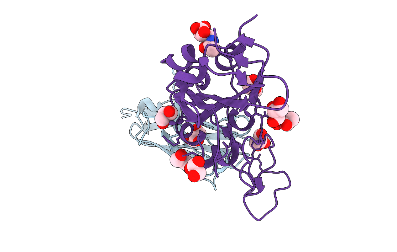 7C8V image