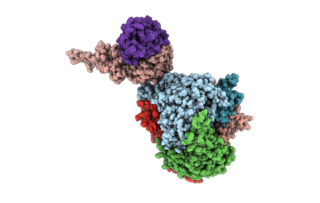 7C8Z image