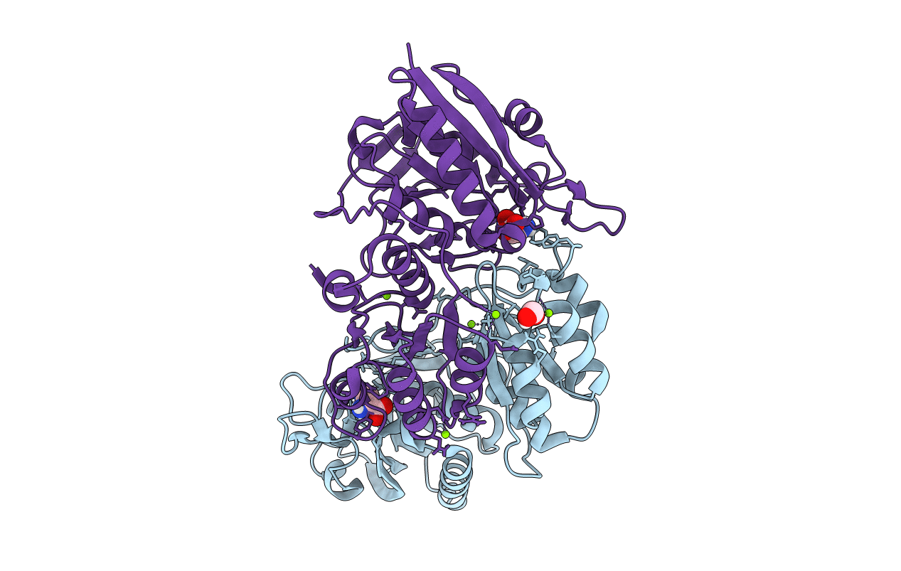 7C91 image