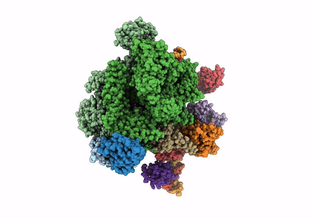 7C97 image