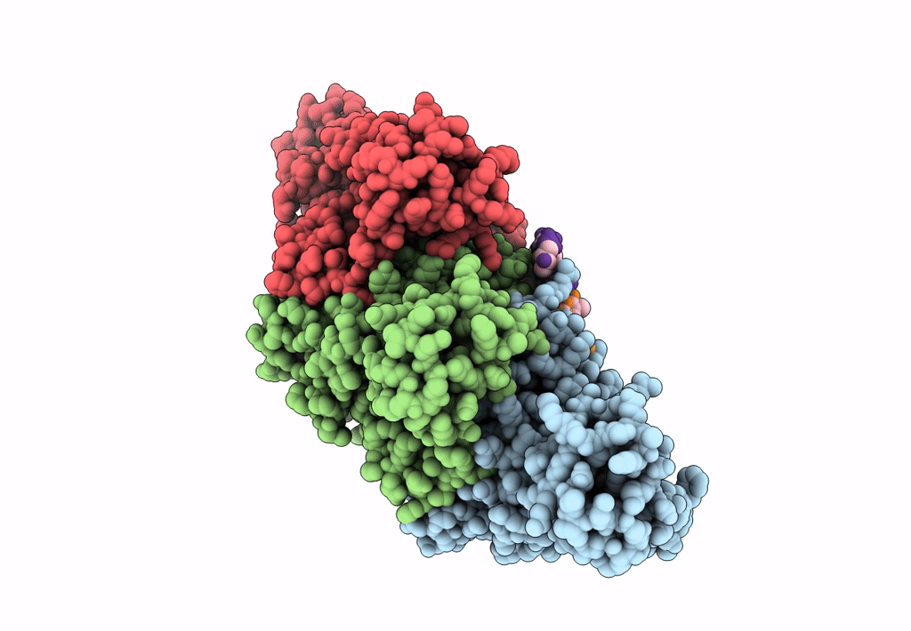 7C98 image