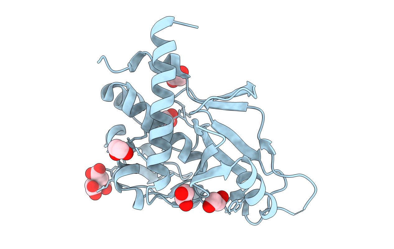7C9J image