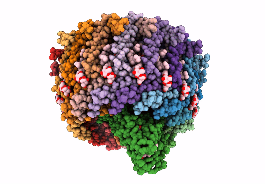 7C9R image
