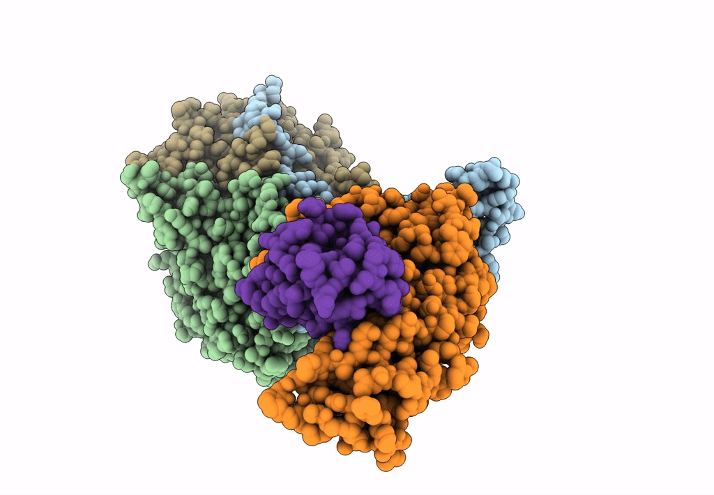 7C9V image