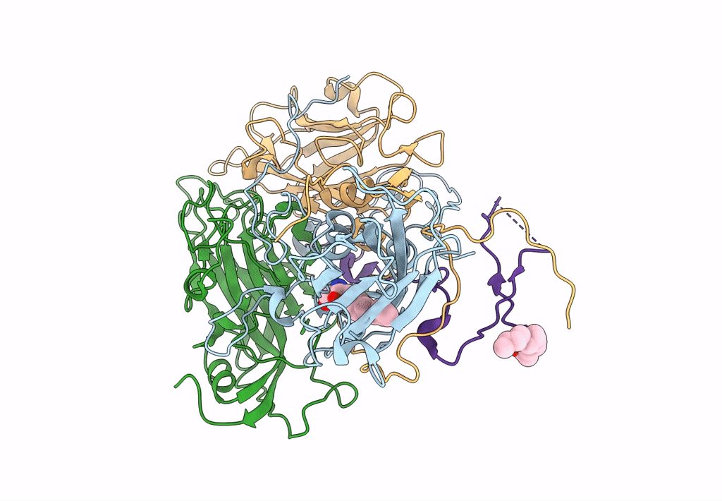 7C9X image