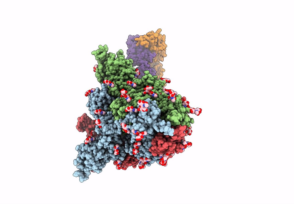 7CAC image