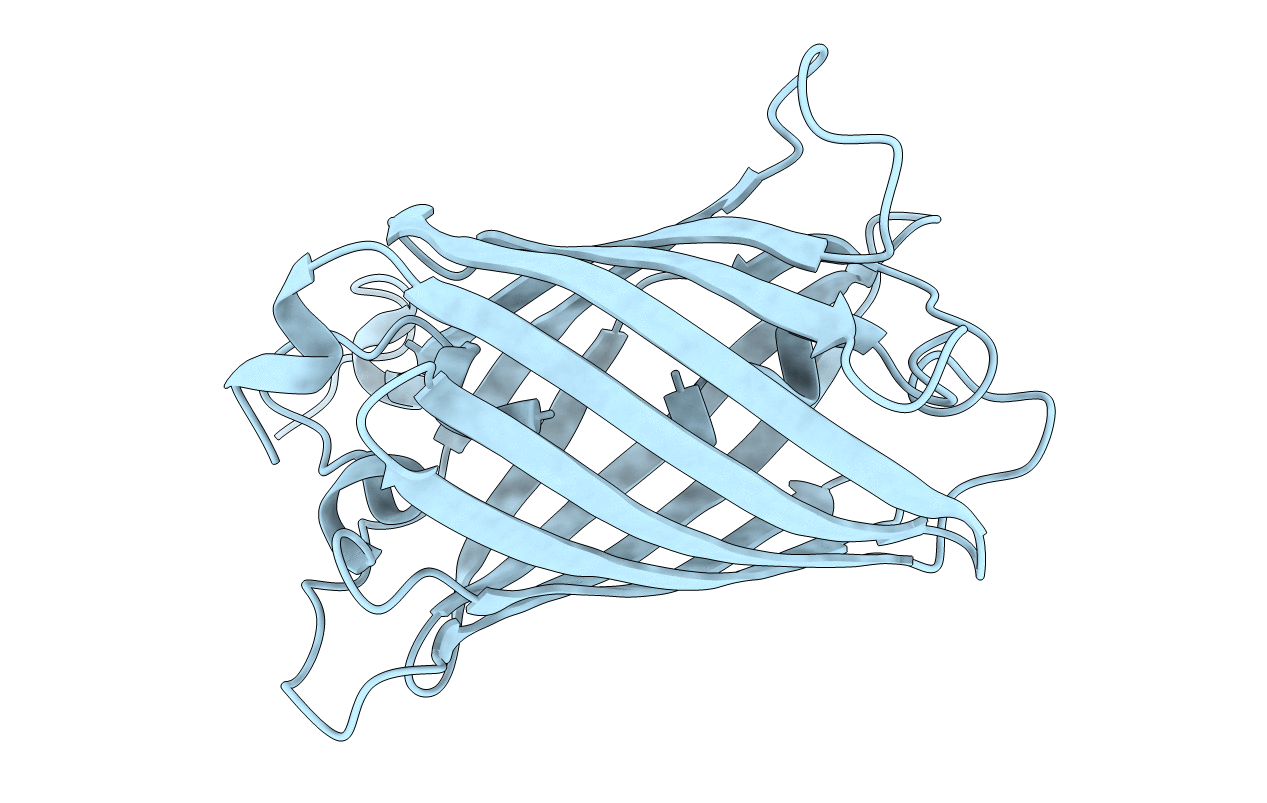 7CAO image
