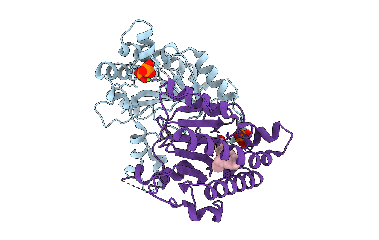 7CAS image