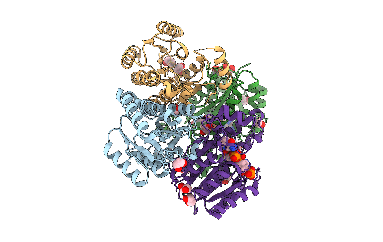 7CAX image