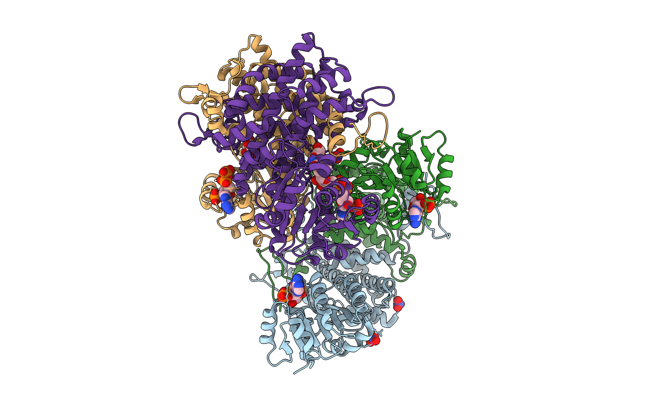 7CB2 image