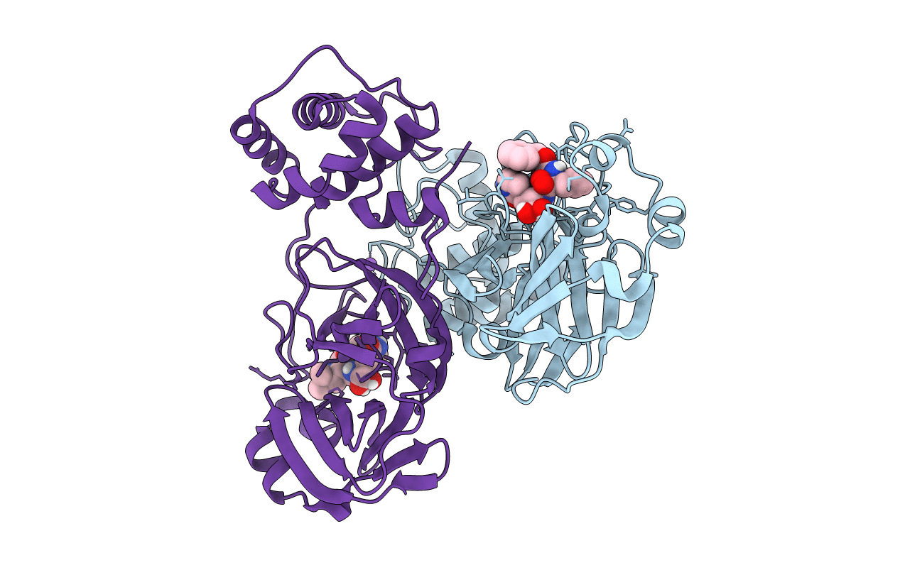 7CB7 image