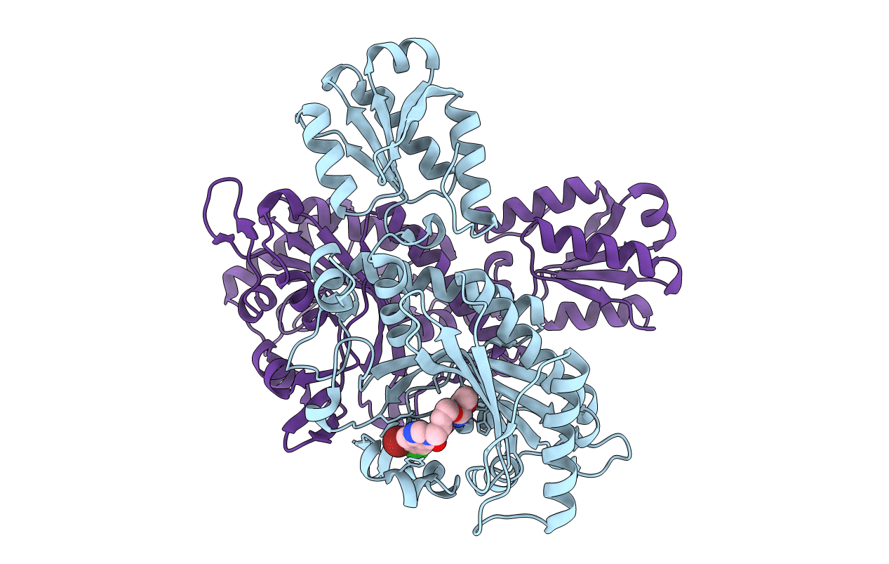 7CBH image