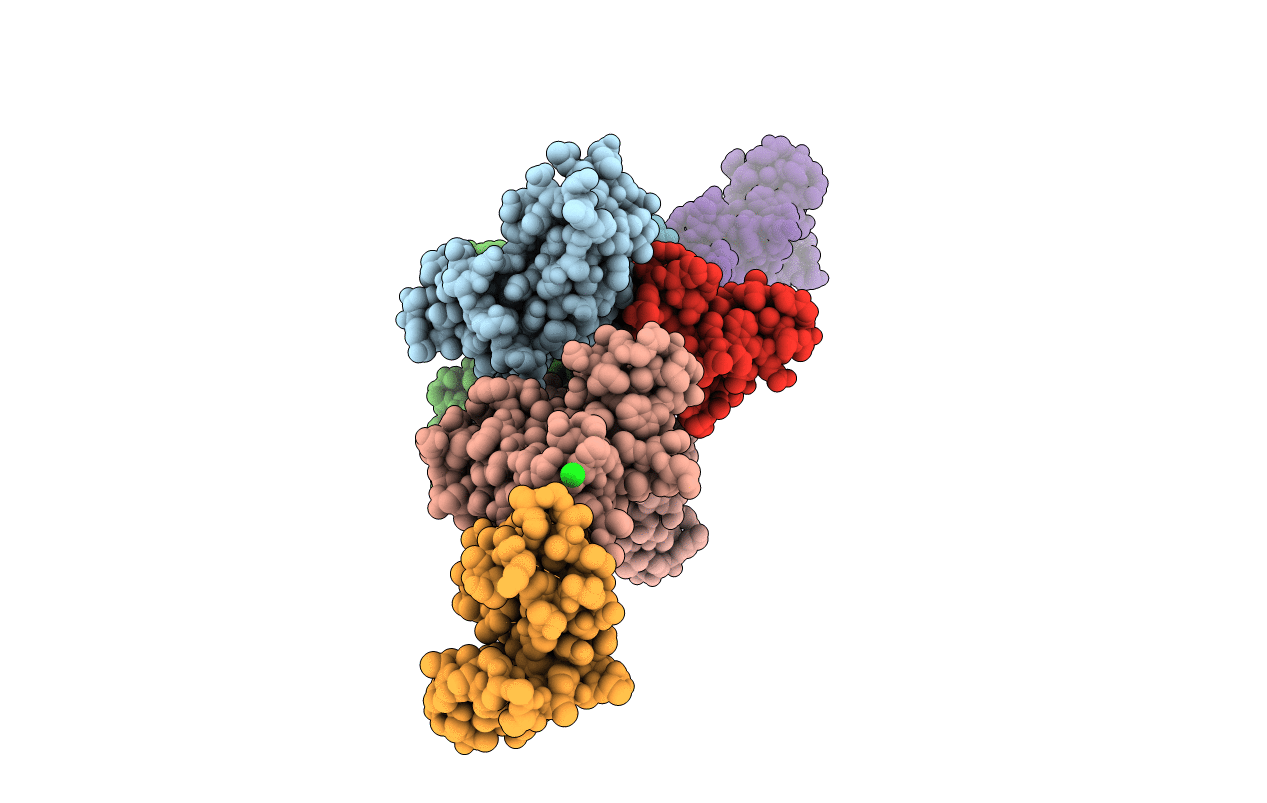 7CBS image