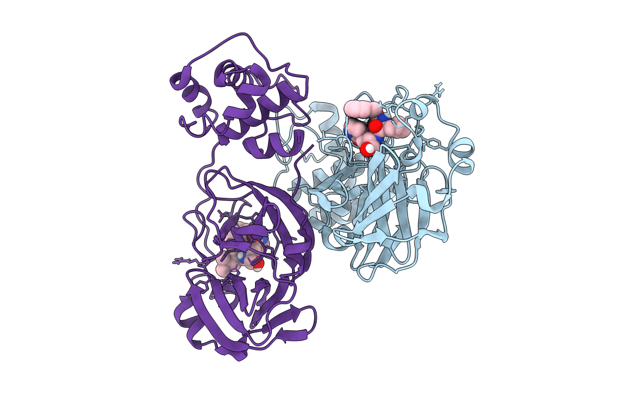 7CBT image