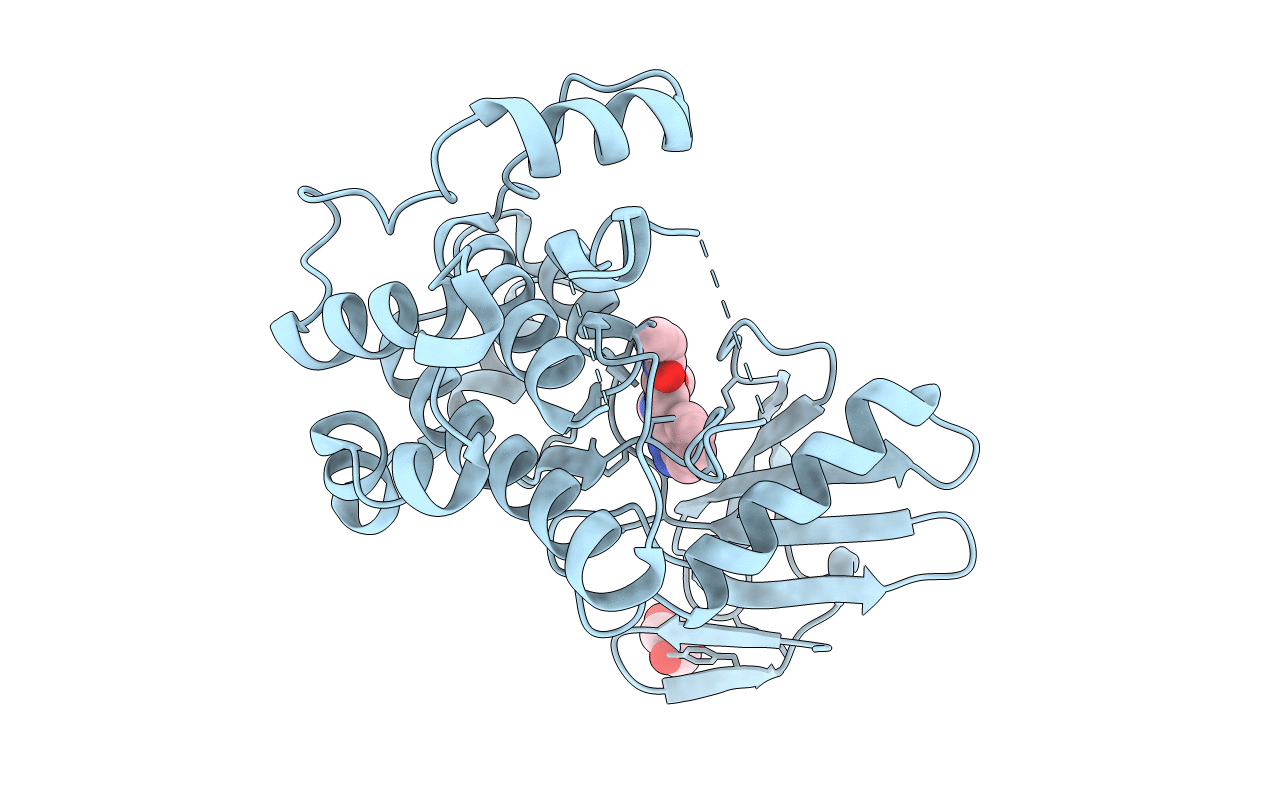 7CBX image