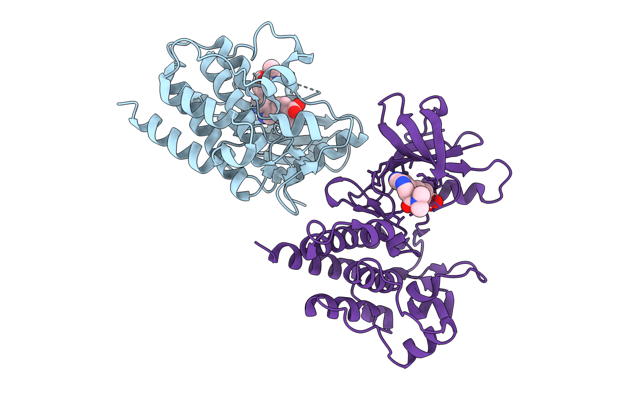 7CC2 image
