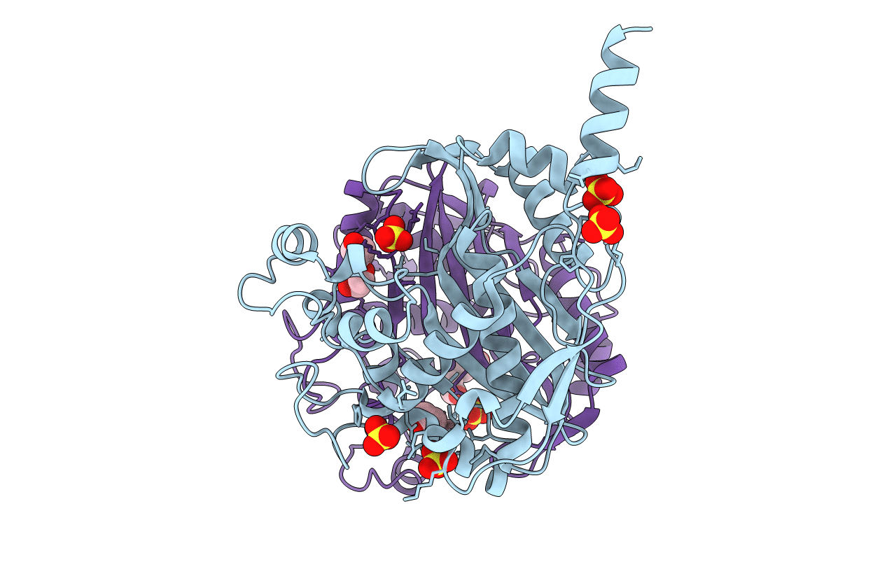 7CC8 image