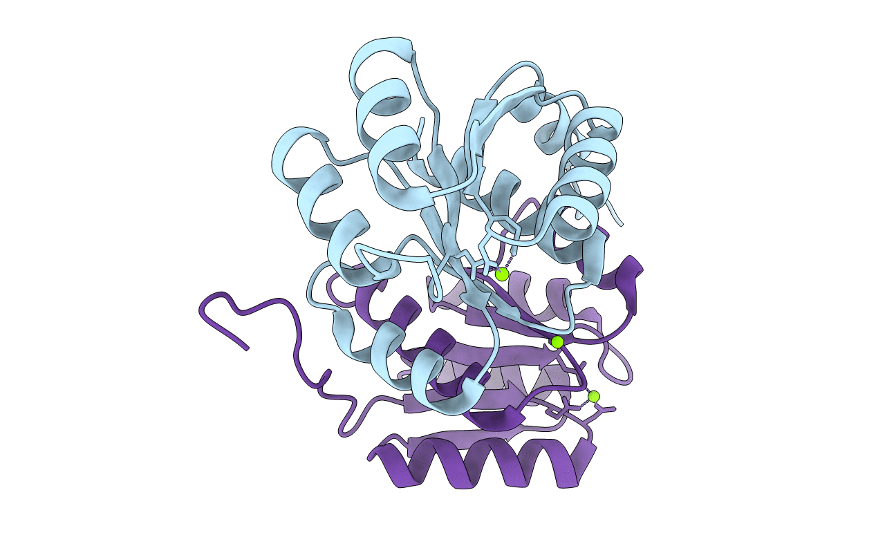 7CCI image