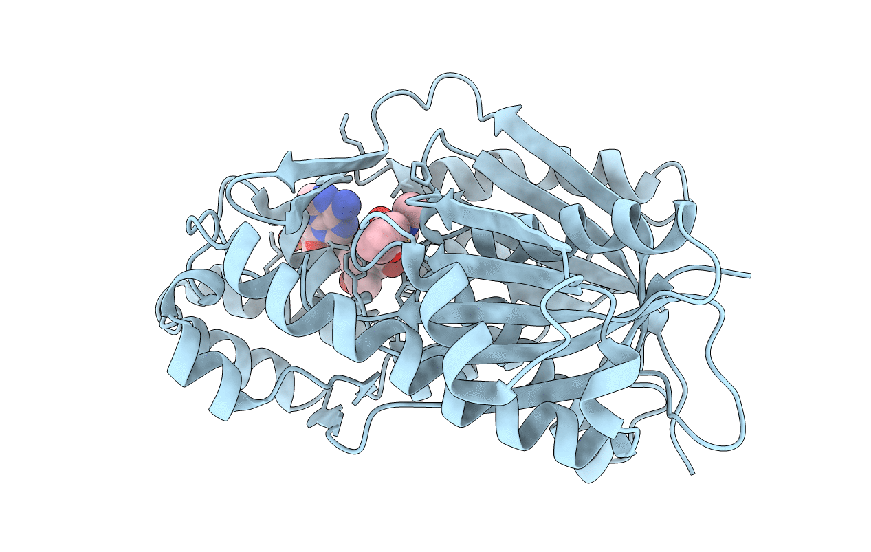 7CCT image
