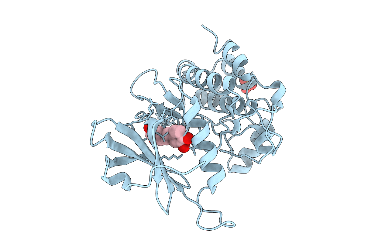 7CCV image