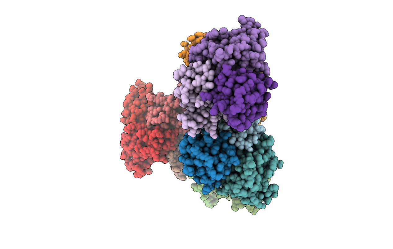 7CD2 image