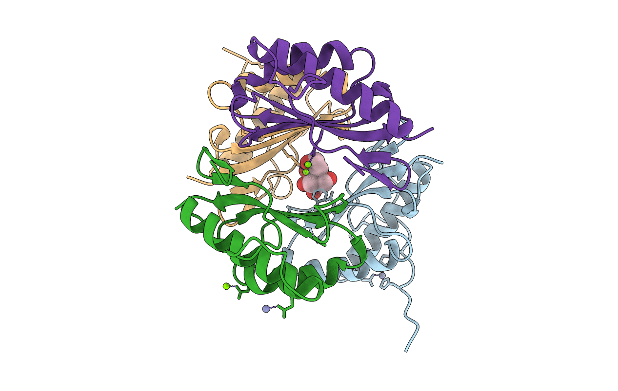 7CD4 image