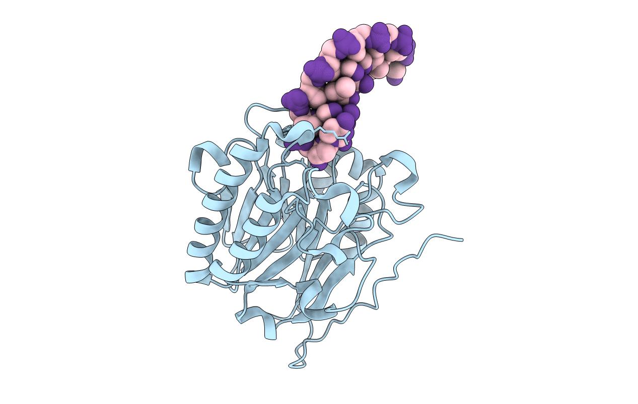 7CD5 image