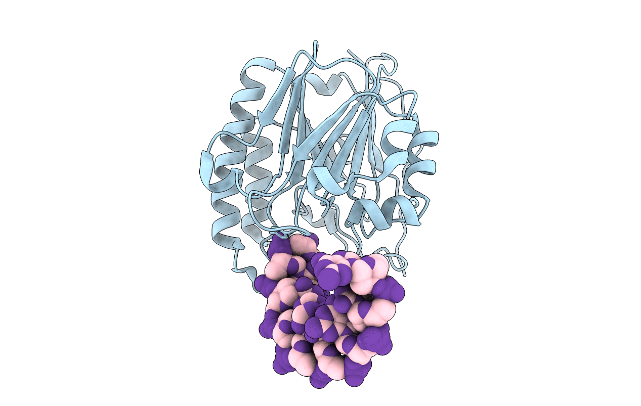 7CD6 image