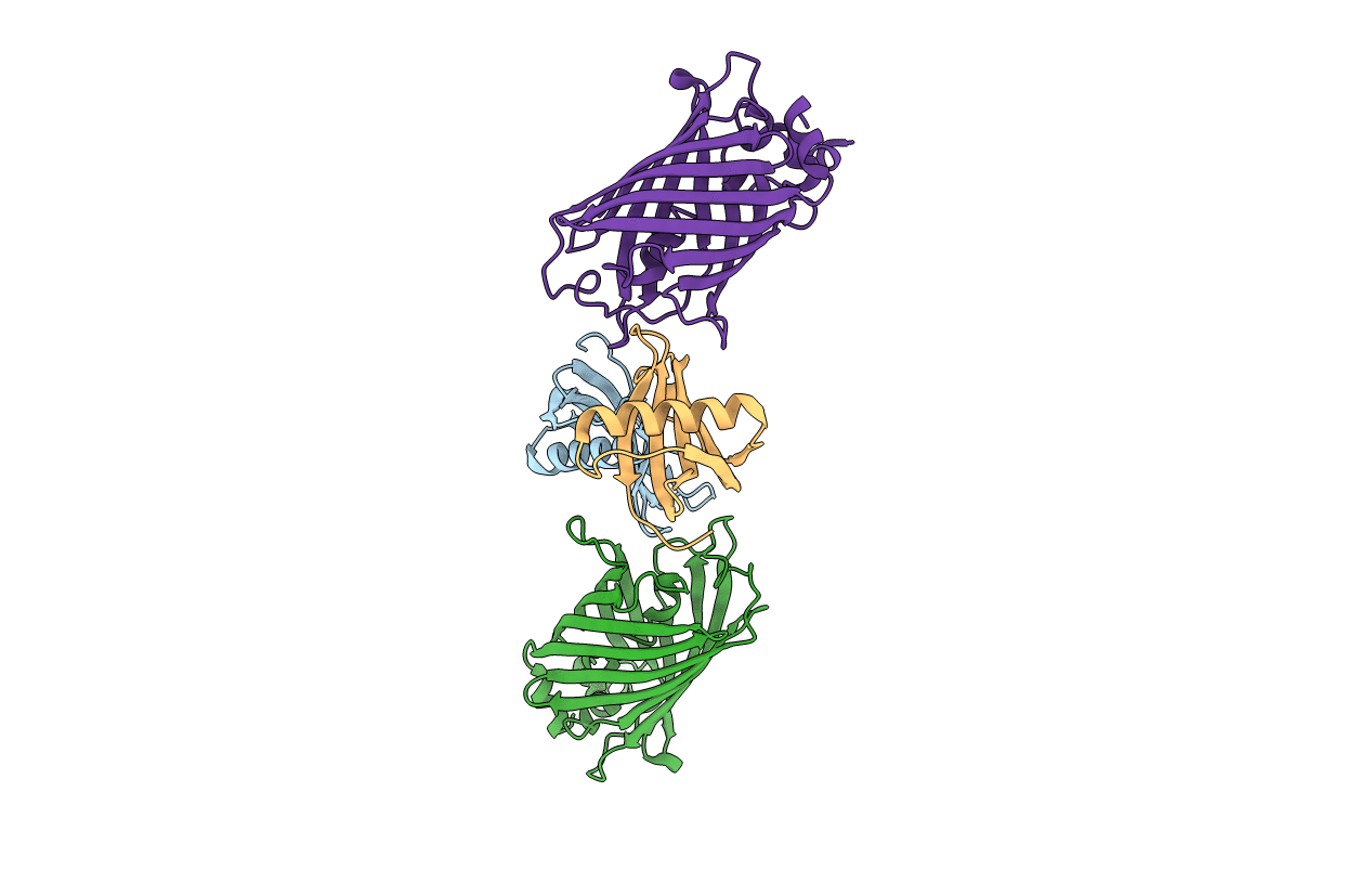 7CD7 image