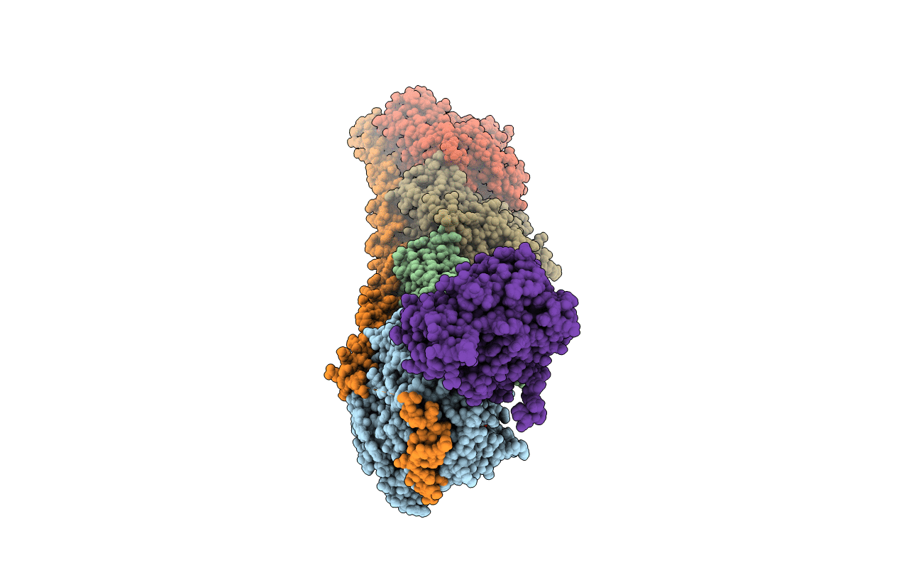 7CDA image