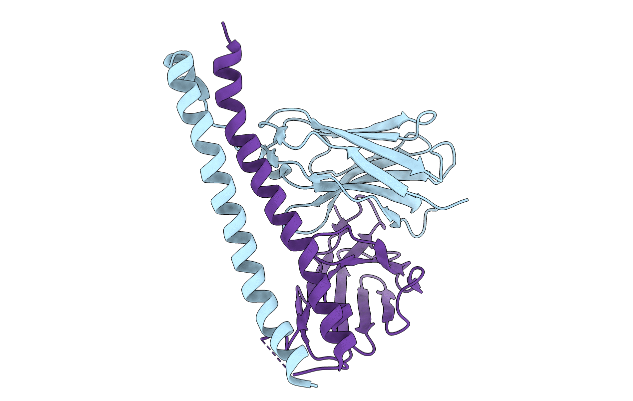 7CEA image
