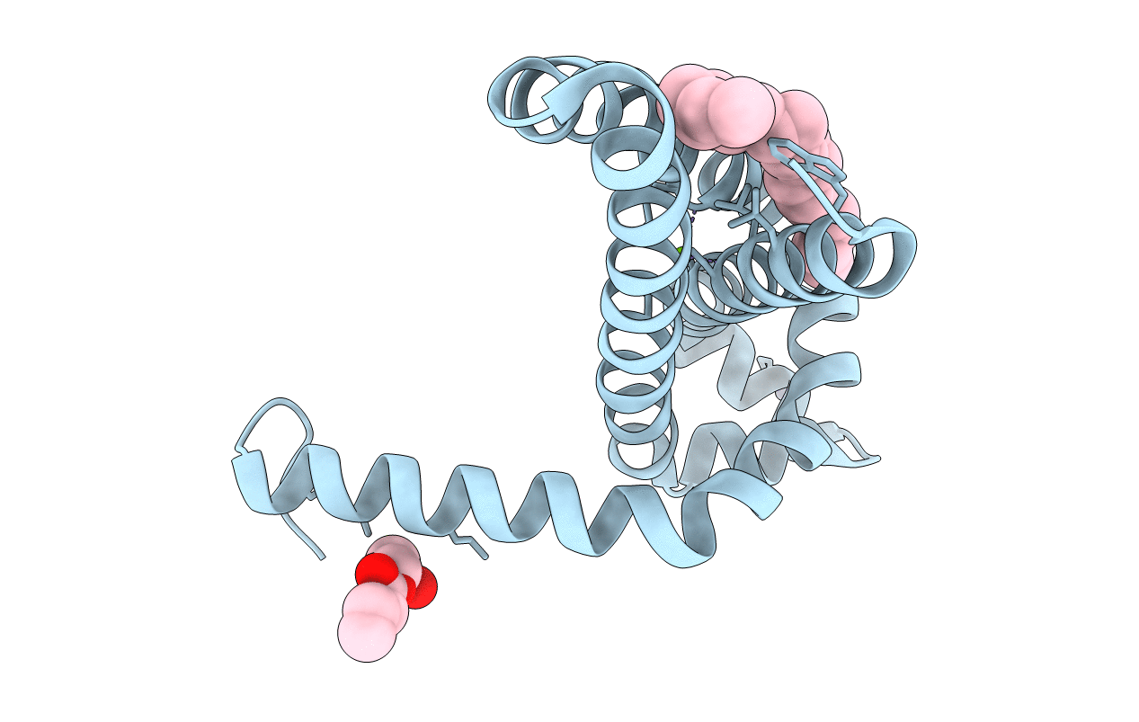 7CFG image