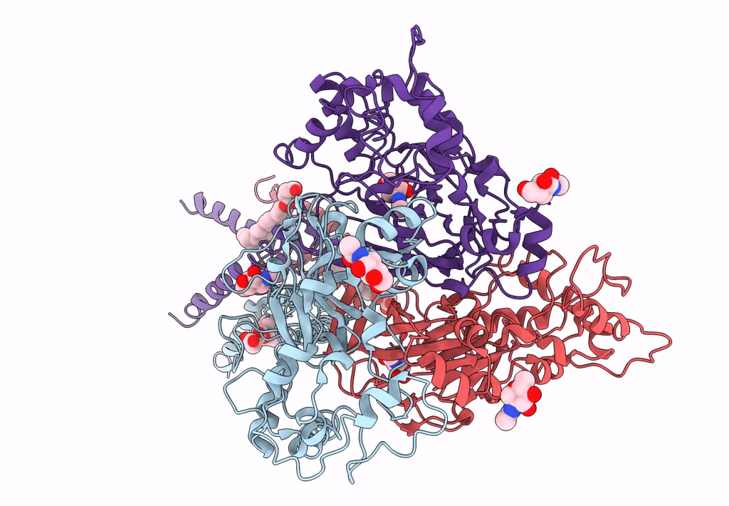 7CFS image
