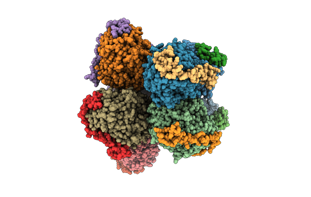 7CFX image