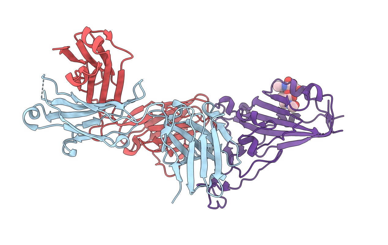 7CHB image
